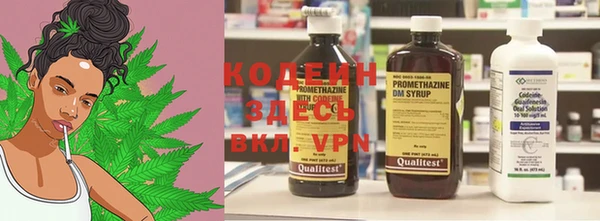 гашик Лагань