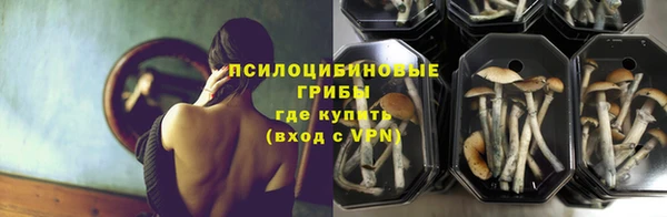 гашик Лагань