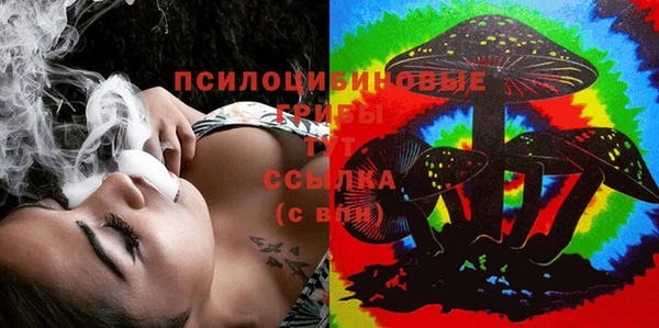 mix Лабытнанги