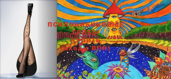 mix Лабытнанги