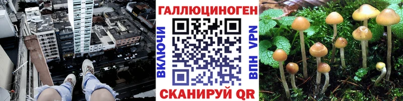 Псилоцибиновые грибы прущие грибы  Купить  Анадырь 